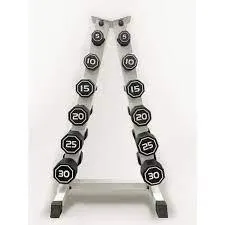 Apollo Athletics Iron Bull IR3920 Coated Octagon Dumbbells 5-30lb Set with Troy Barbell Vertical Dumbbell Rack GADR-6