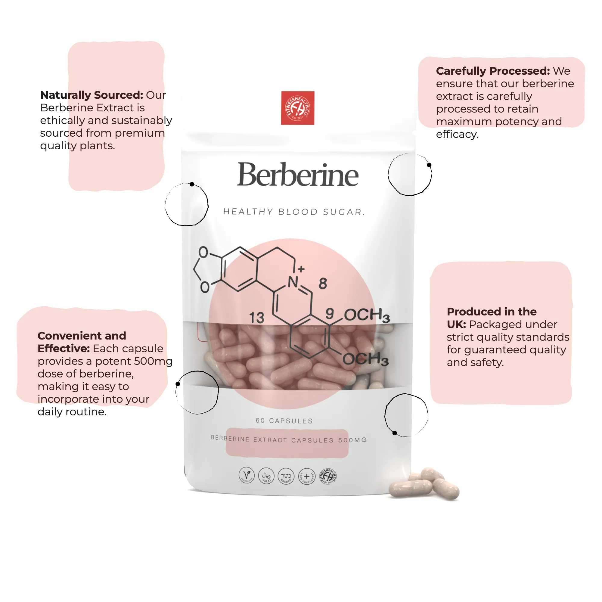 Berberine Extract 500mg Capsules