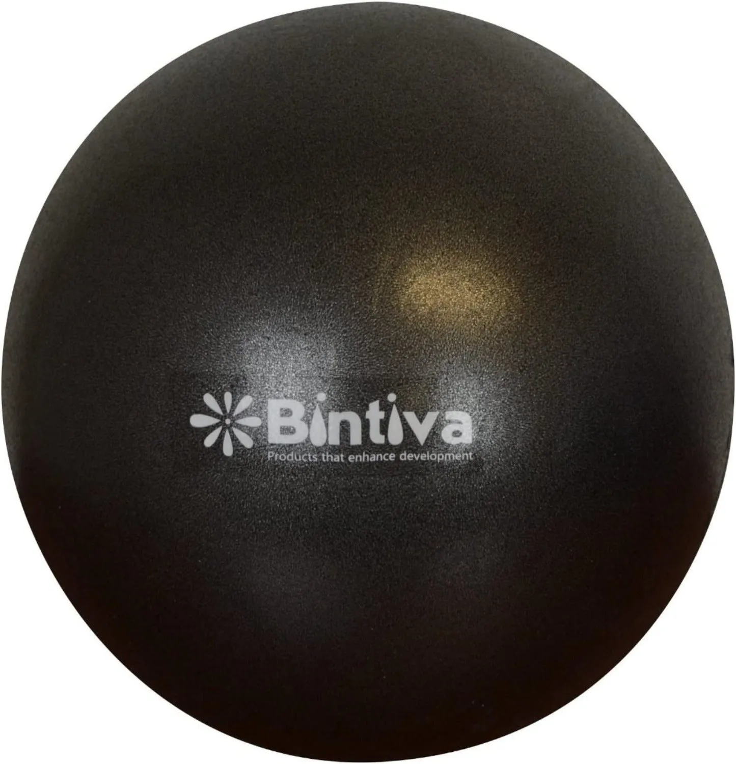 Bintiva 9 Inch Pilates Core Ball