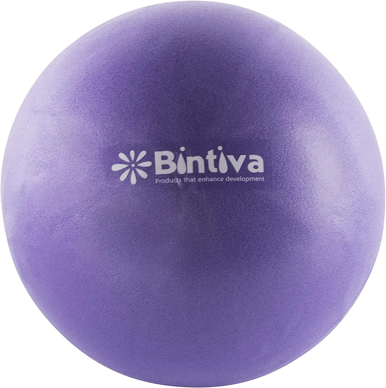 Bintiva 9 Inch Pilates Core Ball