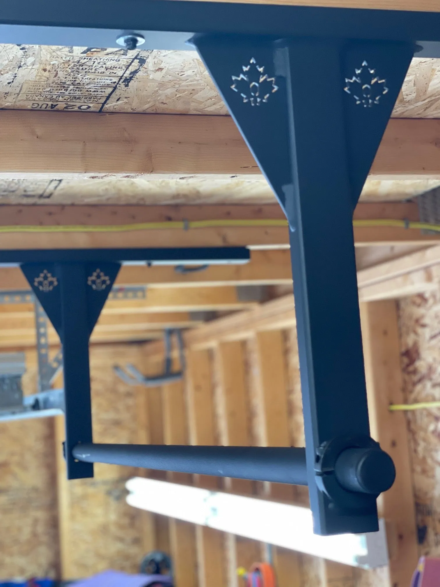 Ceiling Mounted Pull Up Bar