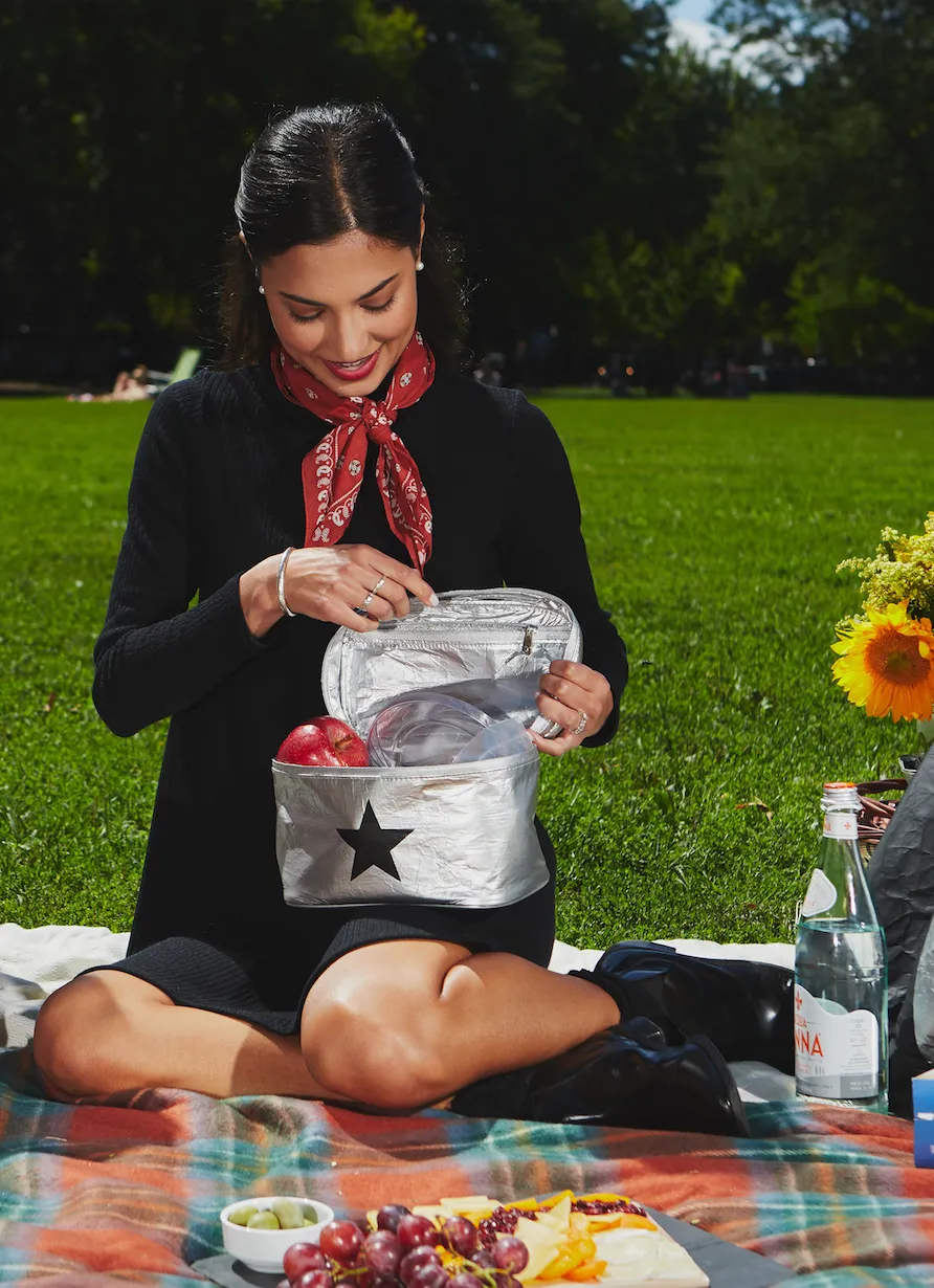 Cosmetic Case or Lunch Box in Silver with Black Star