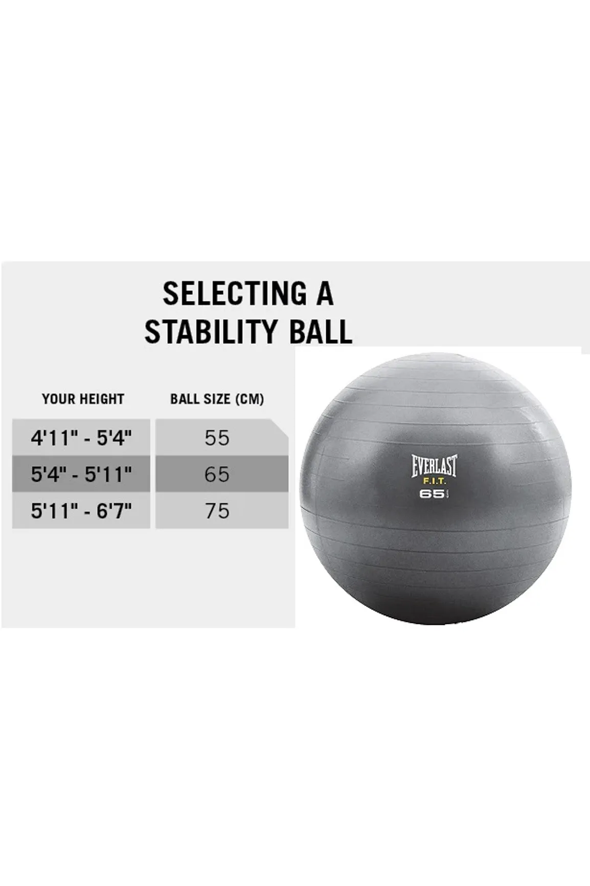 Everlast 65cm Fitball