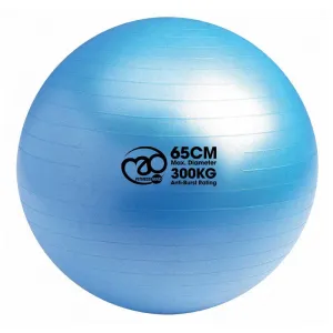 Fitness Mad 300kg Anti Burst Swiss Ball Only