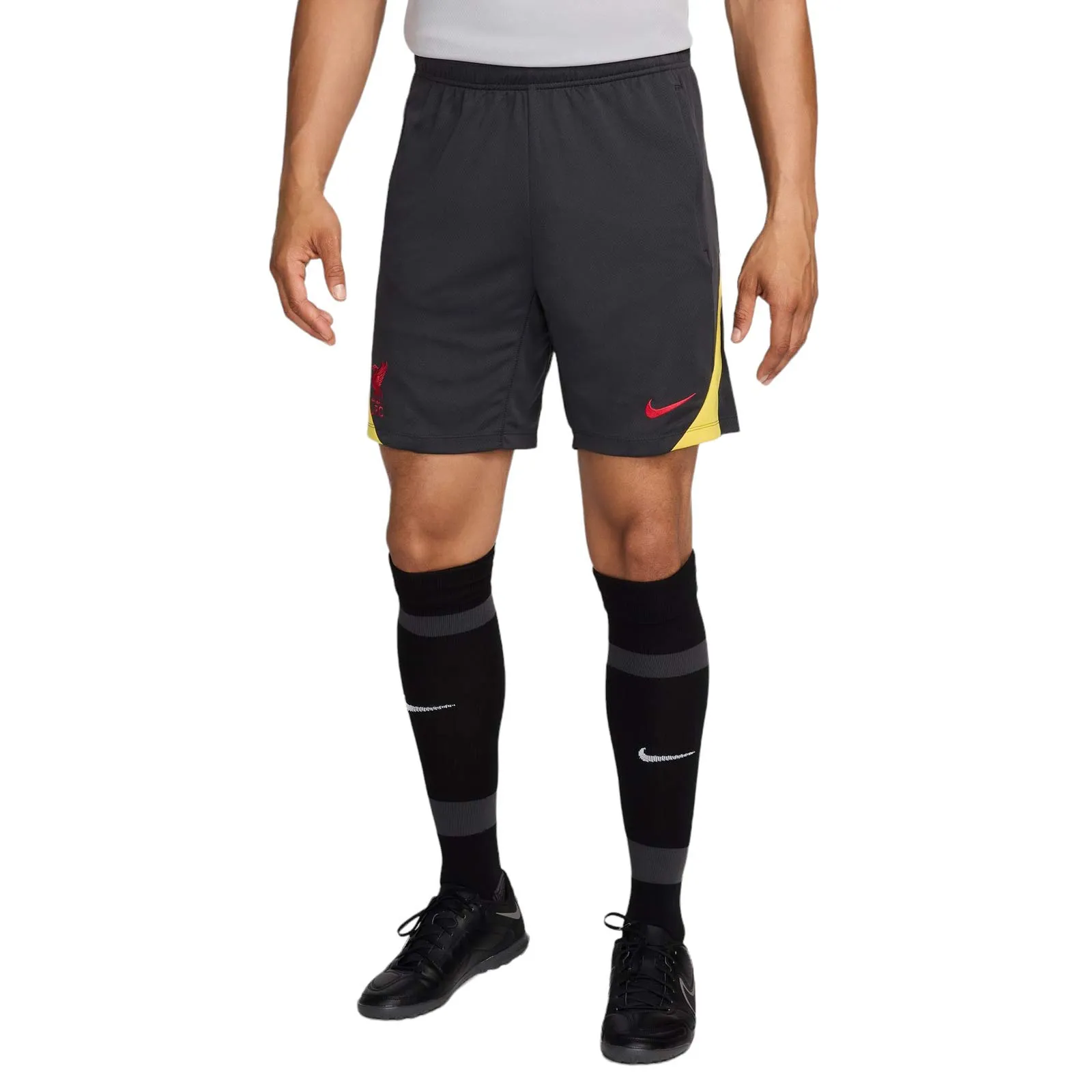 Nike Liverpool Football Club 2024/25 3rd Strike Drill Shorts