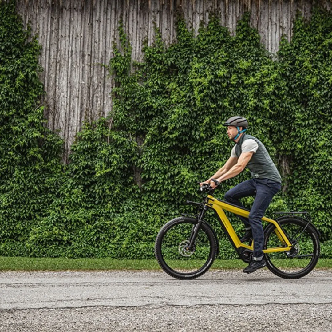 Riese & Müller '24 Supercharger GT Rohloff