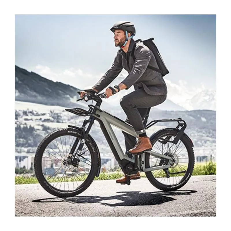 Riese & Müller Electric Bikes Superdelite GT Rohloff HS