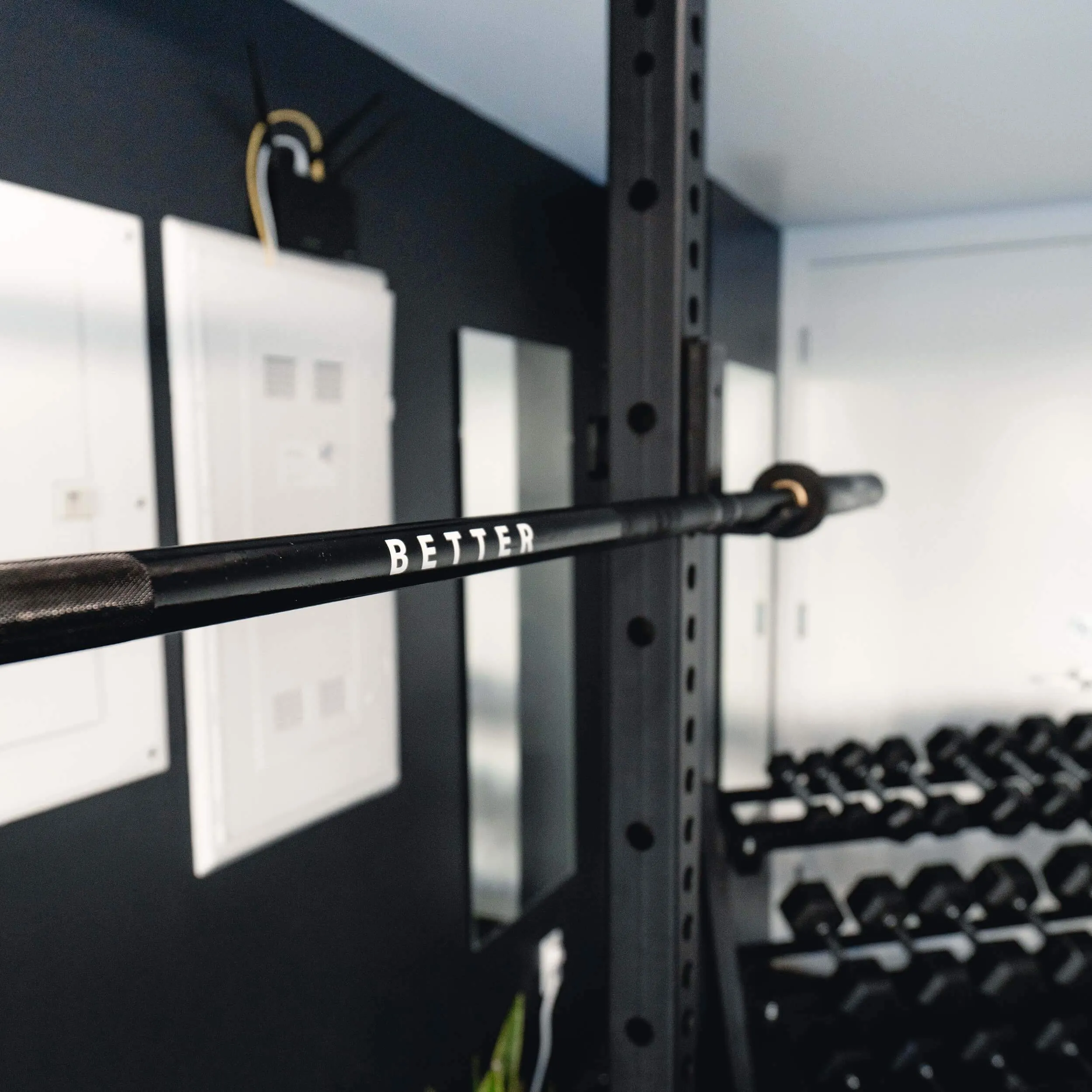 The Apollo Barbell | 20KG | 45LB